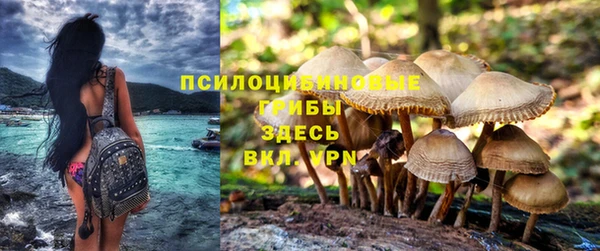 прущая мука Армянск