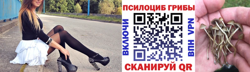 Галлюциногенные грибы Psilocybine cubensis  как найти   Коломна 